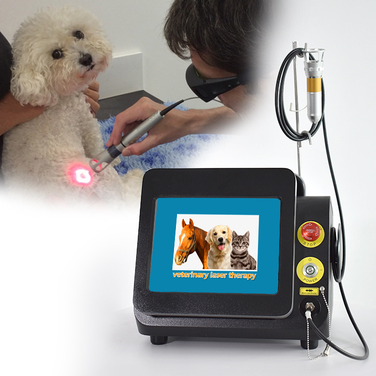 Latest Tech Laser Factory Class 4 High Power  Horse Dog Therapy Wound Healing Pain Relief Vet Laser