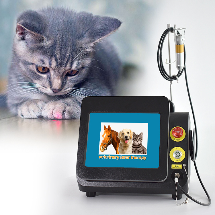 Latest Tech Laser Factory Class 4 High Power  Horse Dog Therapy Wound Healing Pain Relief Vet Laser