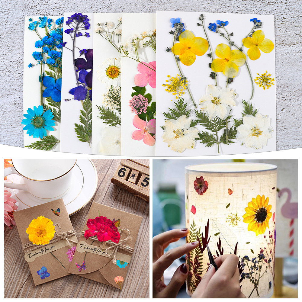 DM493 Natrual Pressed Dried Flowers Leaves Plant Specimen Butterfly Sticker DIY Resin Art Fillers for Decoration