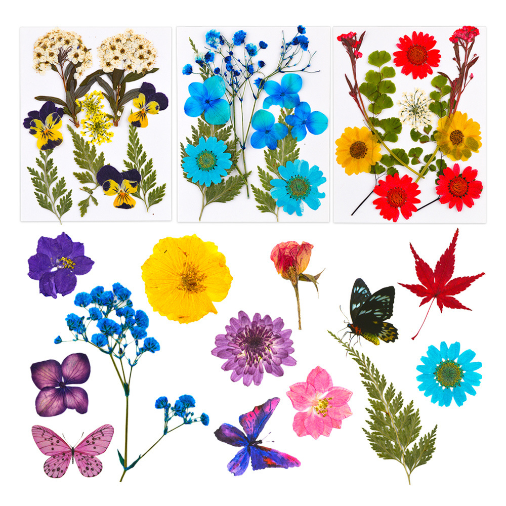 DM493 Natrual Pressed Dried Flowers Leaves Plant Specimen Butterfly Sticker DIY Resin Art Fillers for Decoration