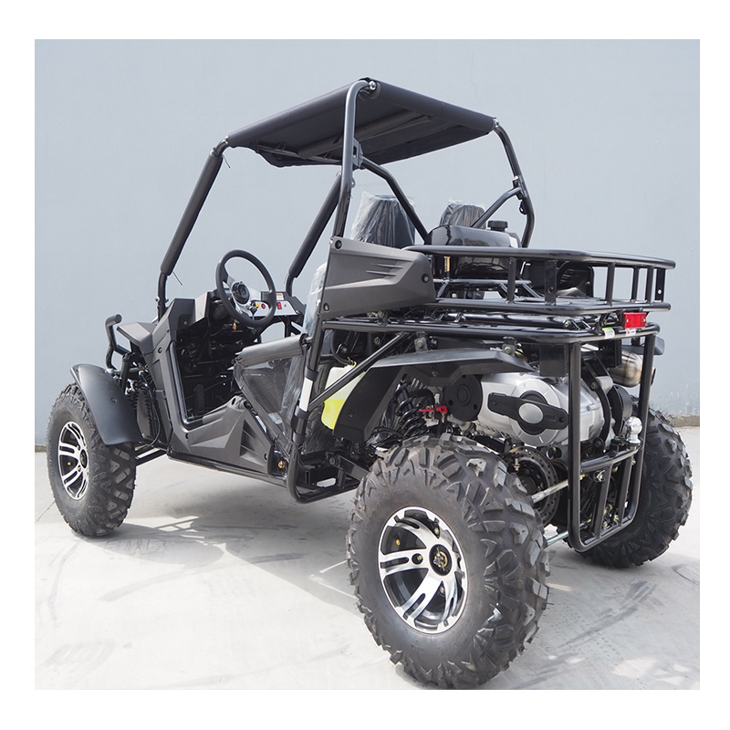 Cheap Hot Sale Top Quality Chinese factory supply 200cc gas automatic dune 2 seat adultBuggypro k1 k3 k5 k7 Go Karts buggy