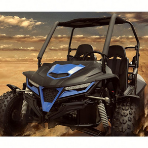 Trail blazer manufacturing  just arrived 1100cc dune buggy street legal