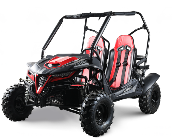 4X4/2X4 buggy/dune buggy with 1100cc Cherry or Liuzhou engine