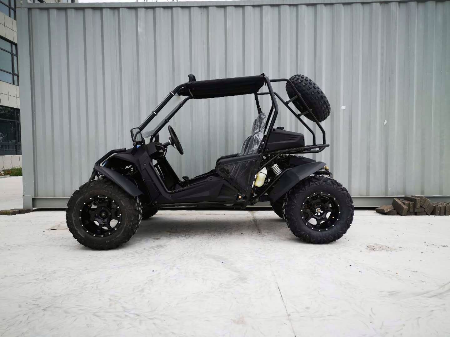 Trail blazer manufacturing  snow field 300cc dune buggy big torque power frames for sale