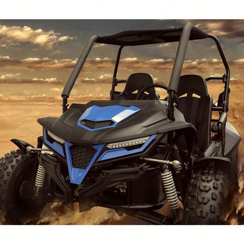 Trail blazer manufacturing  utility or recreation 1100cc dune buggy 4x4 street legal