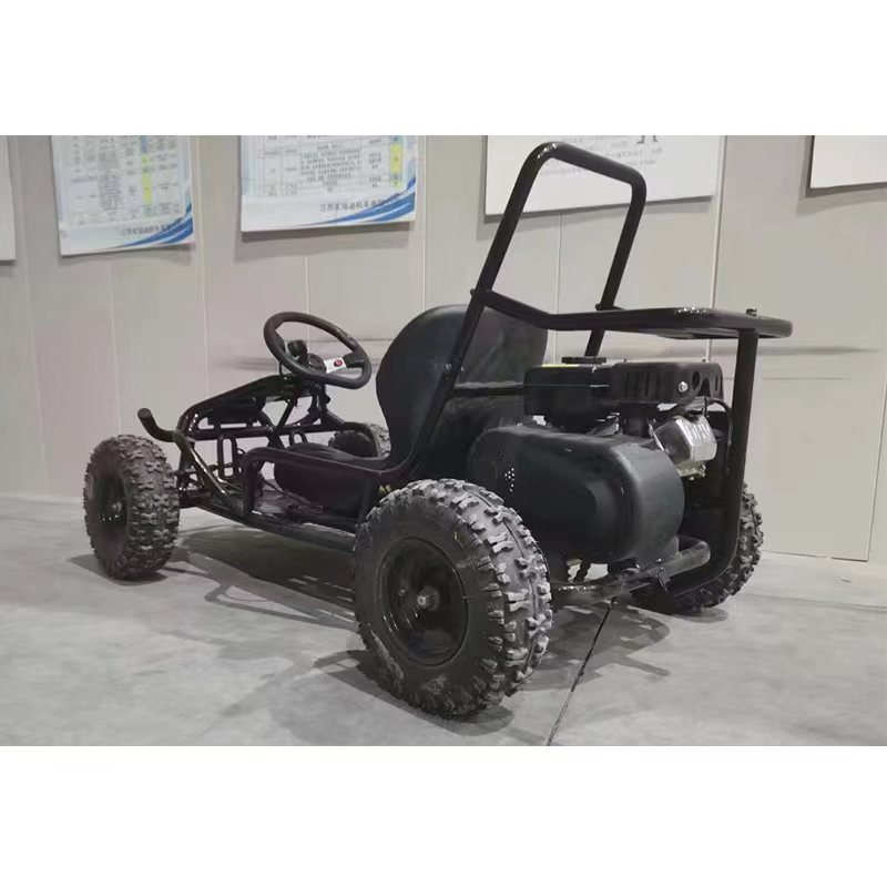 TRAIL BLAZER Karts Various Good Quality Go Kart Car For Sale Mini Crazy Kart Brushless Hub Motor