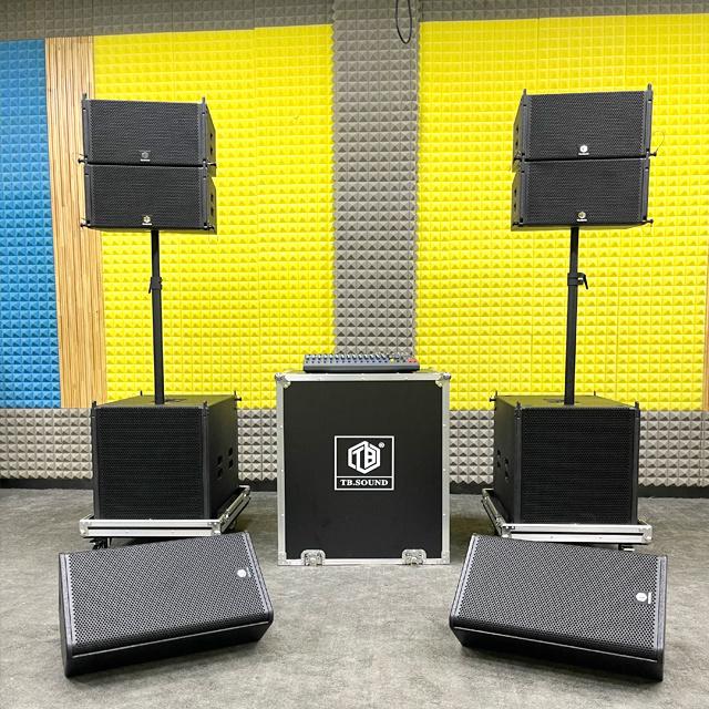 Sound equipment Indoor/outdoor sound system single 10 