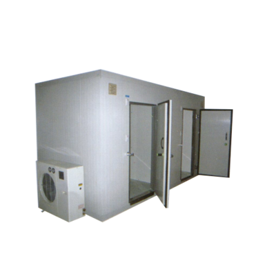 Blast chiller freezer Chicken Beef Fish Seafoods Cold Room storage Walk in Freezer For Sale