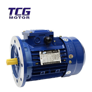 3 Phase Electric Asynchronous Motor 220V 380V 440V with electric brake can stop within 5 second