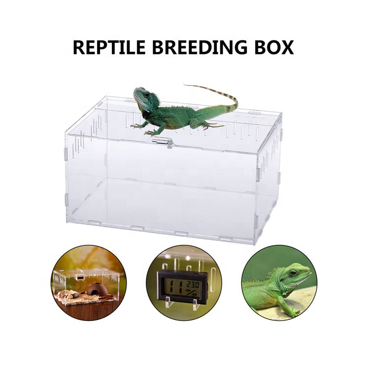 Breathable Acrylic Plant Pet Reptile Feeding Box Frog Cricket Turtle Terrarium Acrylic Feeding Tanks Insect Breeding Box