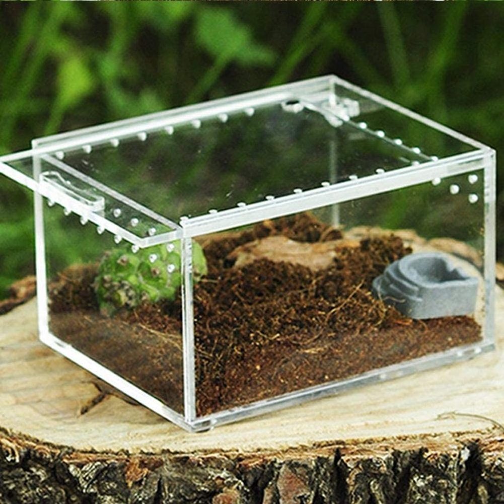 Transparent Reptile Breeding Box Small Acrylic Terrarium Sliding Cover Reptile Tank for Lizard Spider Snake Insect Feeding Box