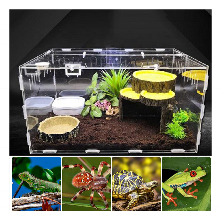 Breathable Acrylic Plant Pet Reptile Feeding Box Frog Cricket Turtle Terrarium Acrylic Feeding Tanks Insect Breeding Box