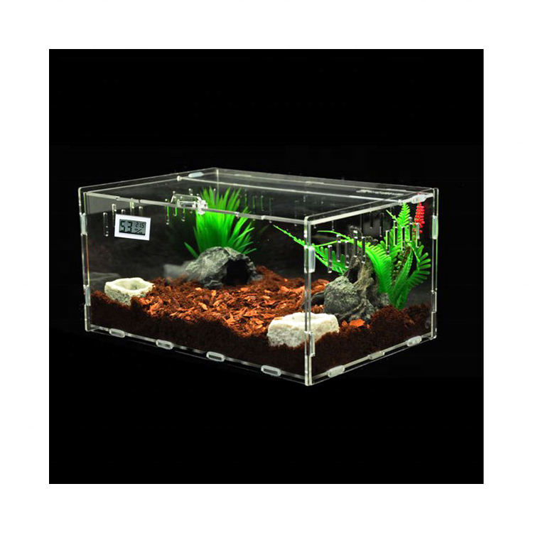 Breathable Acrylic Plant Pet Reptile Feeding Box Frog Cricket Turtle Terrarium Acrylic Feeding Tanks Insect Breeding Box