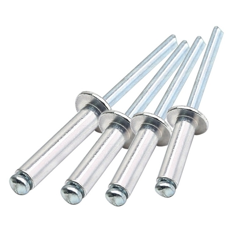 Aluminum Mushroom Screw Pull Rivets Breaking Mandrel Blind Nail Pop Rivet Self Inserting Rivets Furniture