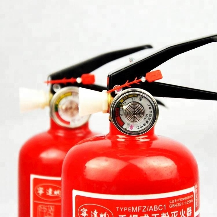 Wholesale car used 1 KG dry powder fire extinguisher