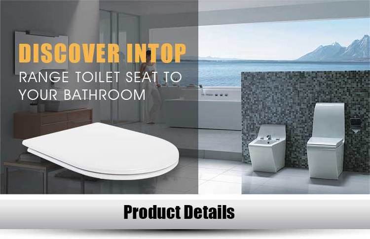 U2009M-WC  European Bathroom Wall Mounted Toilet Bowl Ceramic Matte Black Wall Hung Toilet Rimless