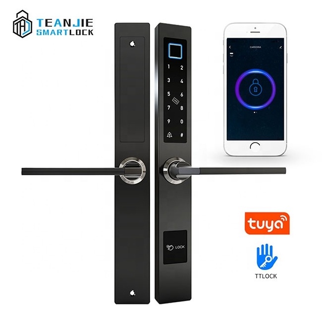 Biometric fingerprint sliding hook door lock electronic smart home double card password smart door lock