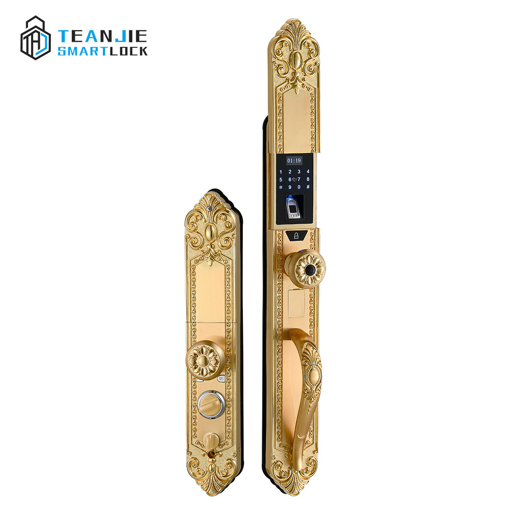 Classic Style Villa Full Automatic Biometric Fingerprint Digital Keyless Smart Fingerprint Entry Door Lock