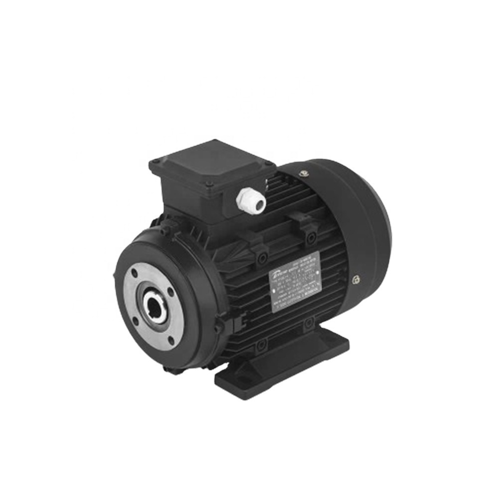 Hollow Shaft 7.5kw 10HP High Pressure Pump Motor For Italy High Pressure Plunger Pump