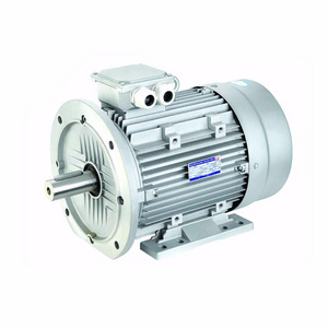 Totally Enclosed 220V 2 hp 1430 rpm Three Phase Induction Asynchronous Electric Motor for Air Conditioner