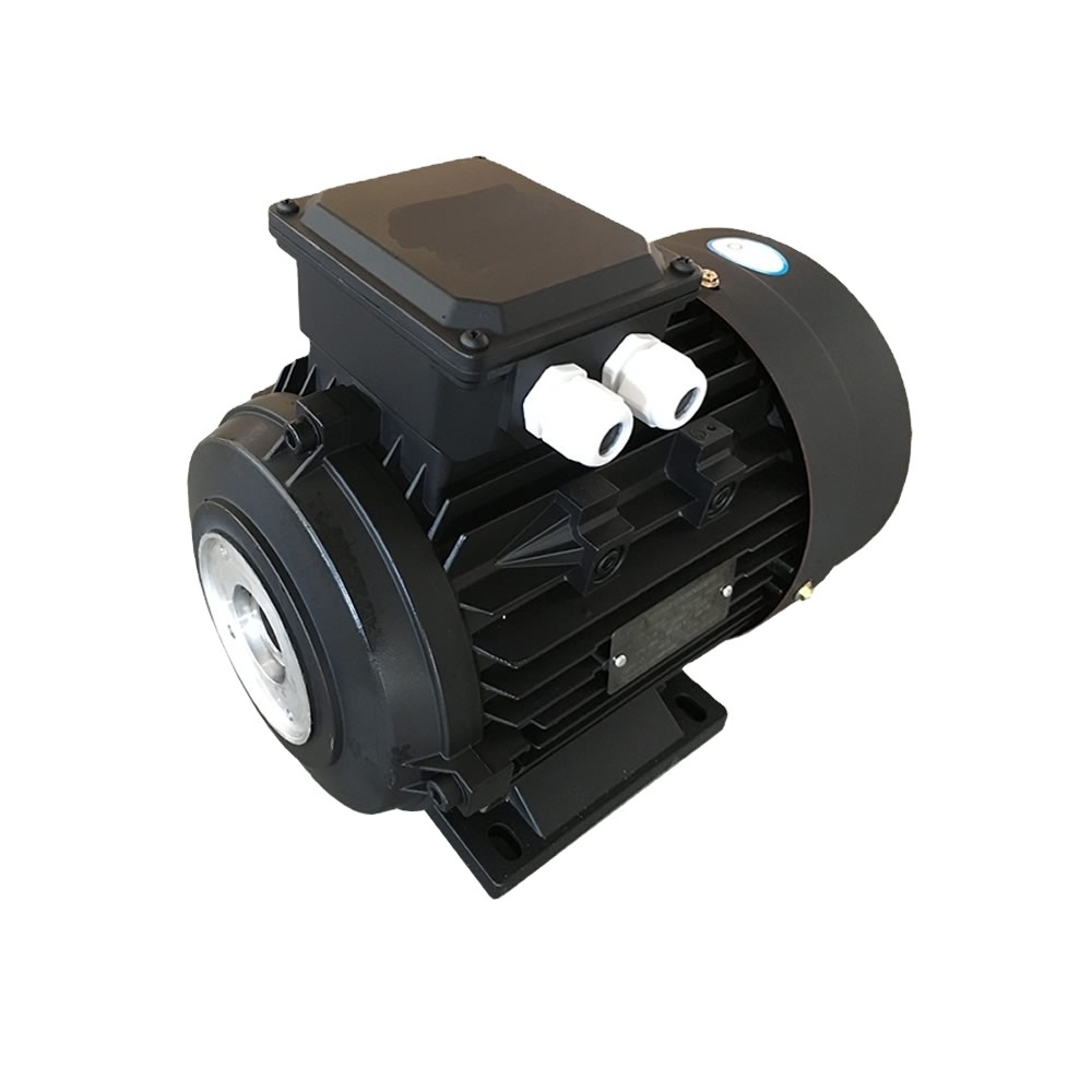 YD 0.45kw/0.55kw  0.55kw/0.75kw 0.85KW/1.1KW  4p/2p double speed pole-change inner shaft electric ac induction motor