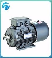 YEJ2-80M1-2 High Efficiency Asynchronous Brake Motor Top Selling 0.75KW 2845rpm Three-Phase Quality 100% Copper 110V/400V 50Hz