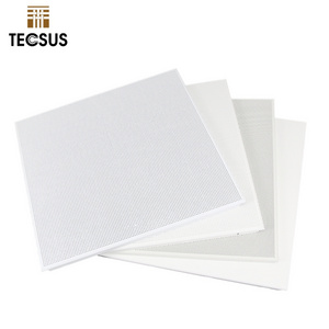 TECSUS Fashion Metal Aluminum Ceiling Full Perforated Powder Coated Clip In Ceiling