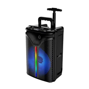 Outdoor 8 Inch Trolley Speaker Bluetooth Flashing Reverb Portable Karaoke Speaker with Wireless Microphone