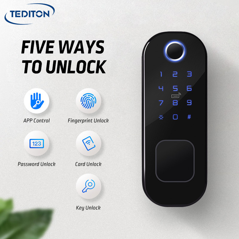 Tediton Biometric Fingerprint Passcode RFID Door Handle Lock Waterproof Double Side dual fingerprint digital door lock for grill