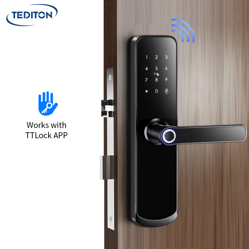 Hot Selling Ttlock APP Automatic Electronic Biometric Fingerprint Digital Door Lock for Alexa Google home