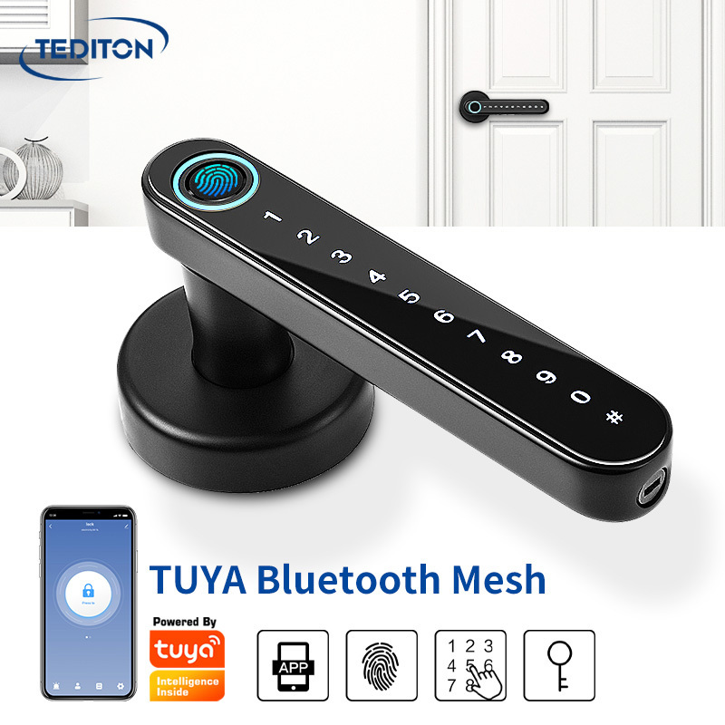 cerradura electronica gate digital wireless cheap home furniture biometric electronic china tuya smart finger print lock