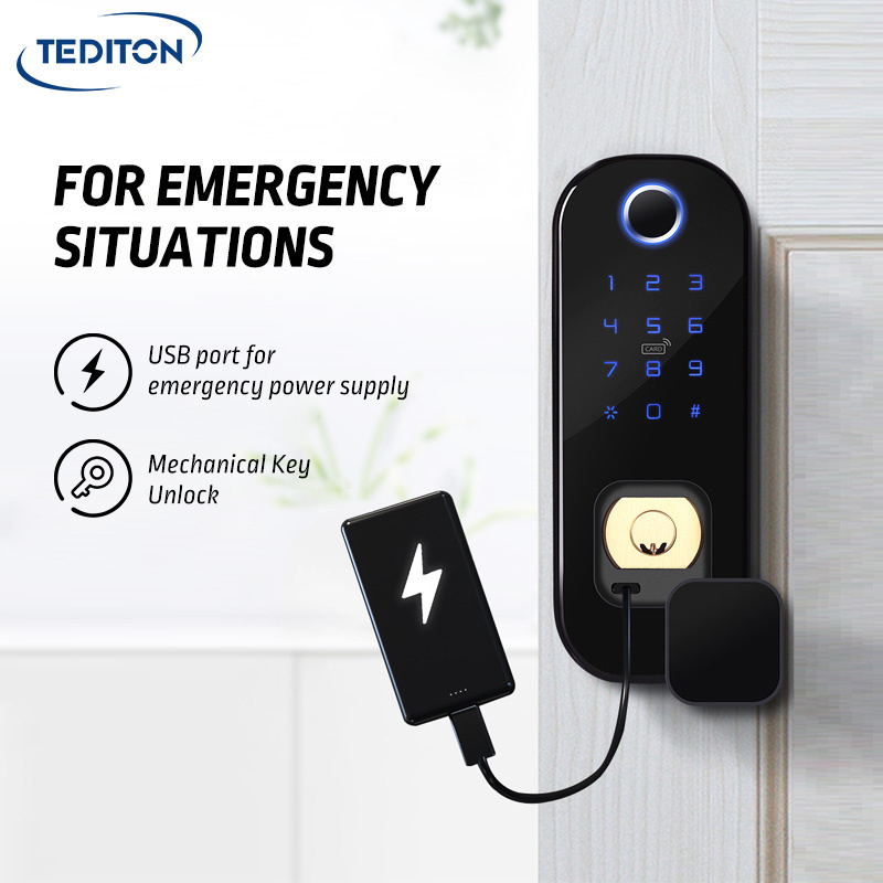 Tediton Waterproof Electric Rim Lock TTlock Double Sided rim lock with tuya app control smart handle lock