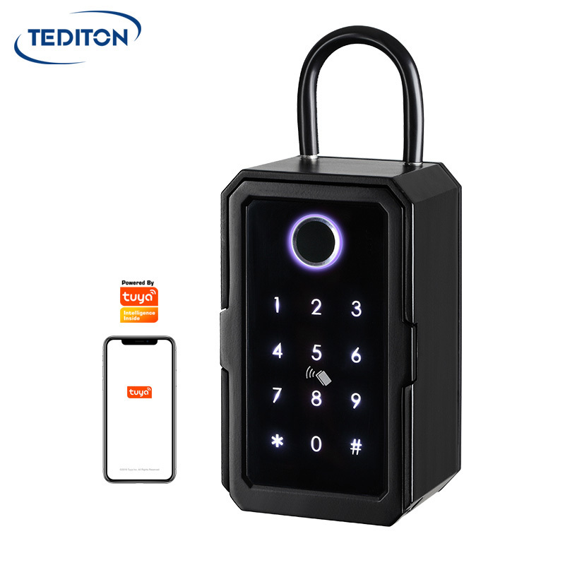 Tediton Tuya App Waterproof Outdoor Wall Mounted Strong Fingerprint Code Smart Key Lock Box