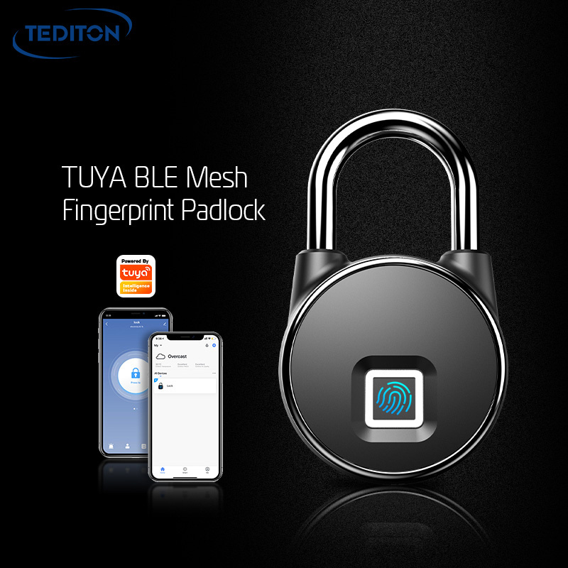 Tediton 2024 Intelligent Waterproof Outdoor Tuya Smart USB Charging Keyless Smart Fingerprint Padlock