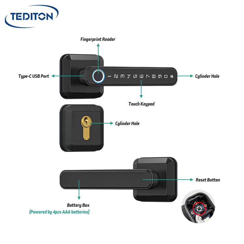 Tediton Wifi Mobile Phone Wooden Door Remotely Fingerprint Sensor Handle Electronic Locks Smart Door Lock