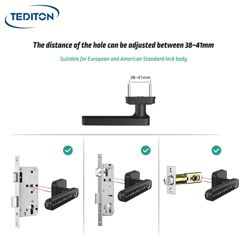 Tediton Wifi Mobile Phone Wooden Door Remotely Fingerprint Sensor Handle Electronic Locks Smart Door Lock