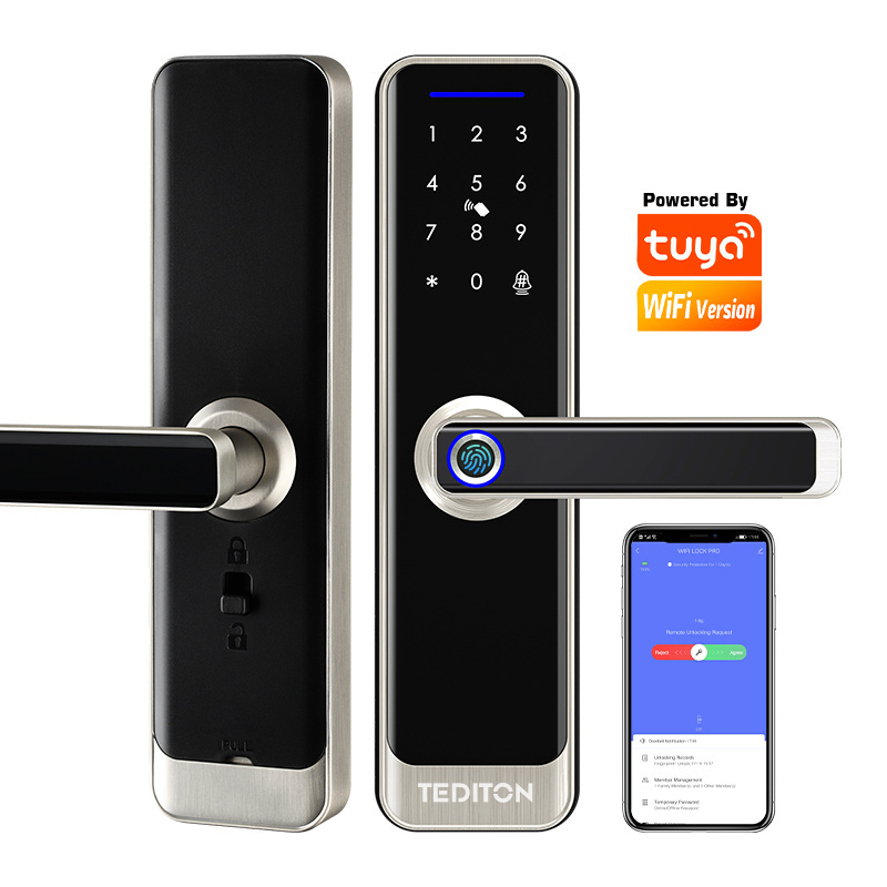 Tediton Tuya Digital Keypad Door Lock Biometric Fingerprint Intelligent Digital Push Pull Smart Door Lock