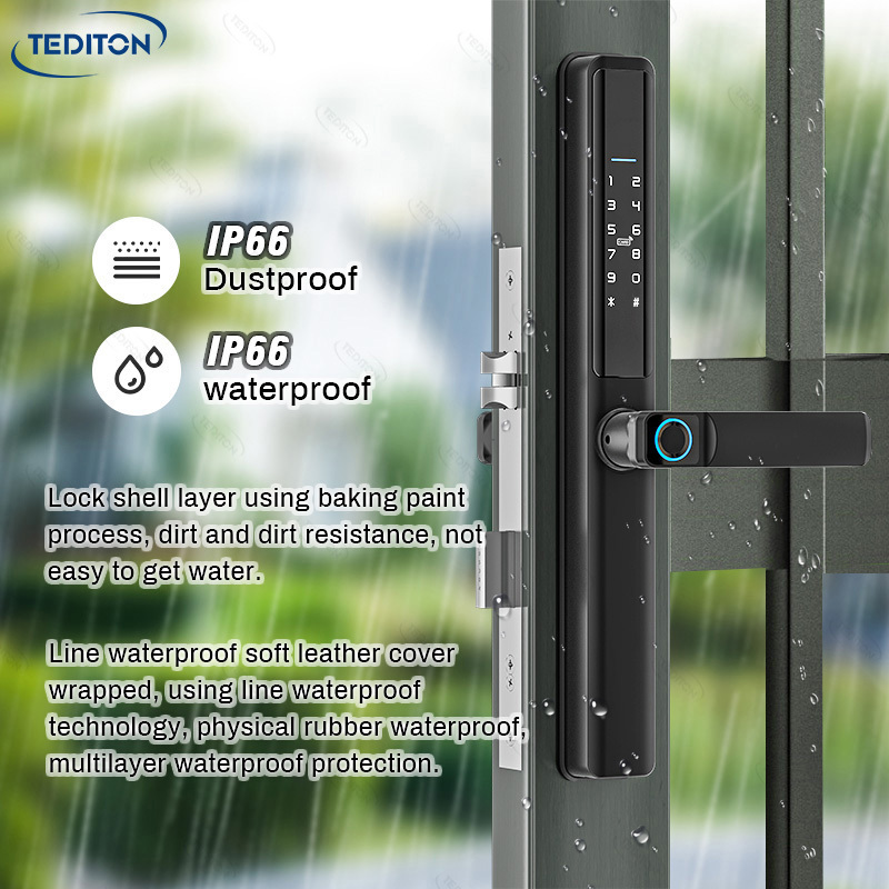 Tediton technology low price bolt hook handle lock upvc patio aluminum glass window door smart wireless lock for sliding gate