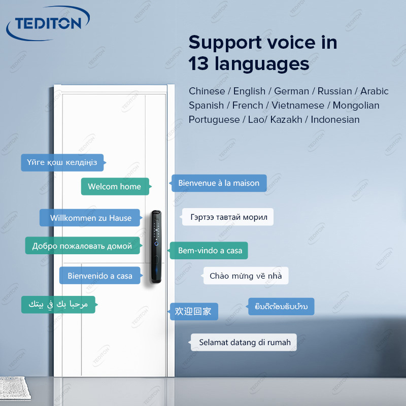 Tediton Security Outdoor Wifi Remote Biometric Fingerprint App Smart 3D Face id Recognition door Lock with Camera intercom