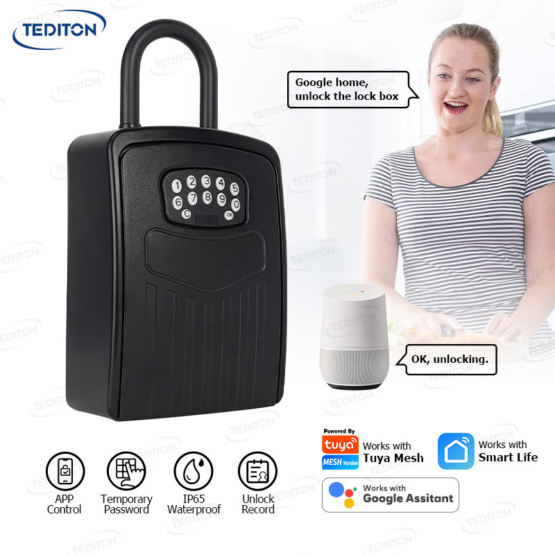 Tediton IP65 Waterproof Outdoor Tuya APP Control Wireless Smart Key Box for House Key