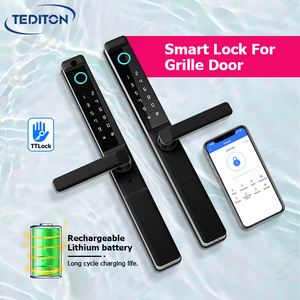 Tediton Smart lock Manufacturer TTlock App Outdoor Aluminum Double Sided Fingerprint smart door lock 4585