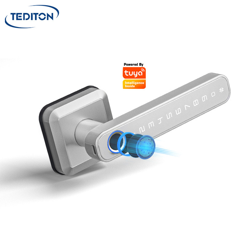 Tediton Tuya App Biometric Keyless Entry Door Handle Fingerprint Door Lock Smart Door Lock for Home Apartments Office Hotel