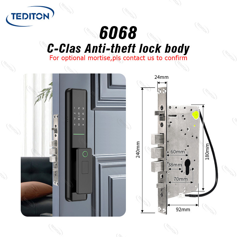 Tediton Outdoor Electronic Mortise Code Password Biometric Fingerprint Tuya Smart Lock