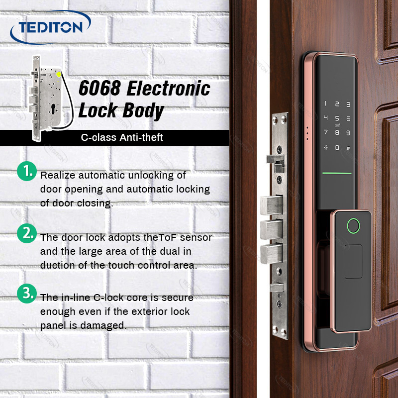 Tediton Outdoor Electronic Mortise Code Password Biometric Fingerprint Tuya Smart Lock