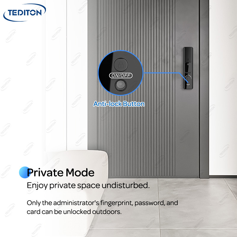 Tediton Fully Automatic Smart Life Tuya App Lock Keyless Biometric Fingerprint Cerradura Inteligente