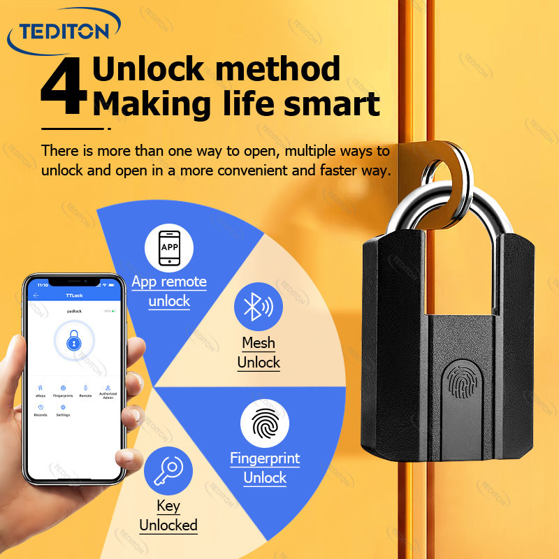 Tediton Technology Low Price High Security Electric Smart Padlock Biometric Wifi Smart Fingerprint Lock Padlock