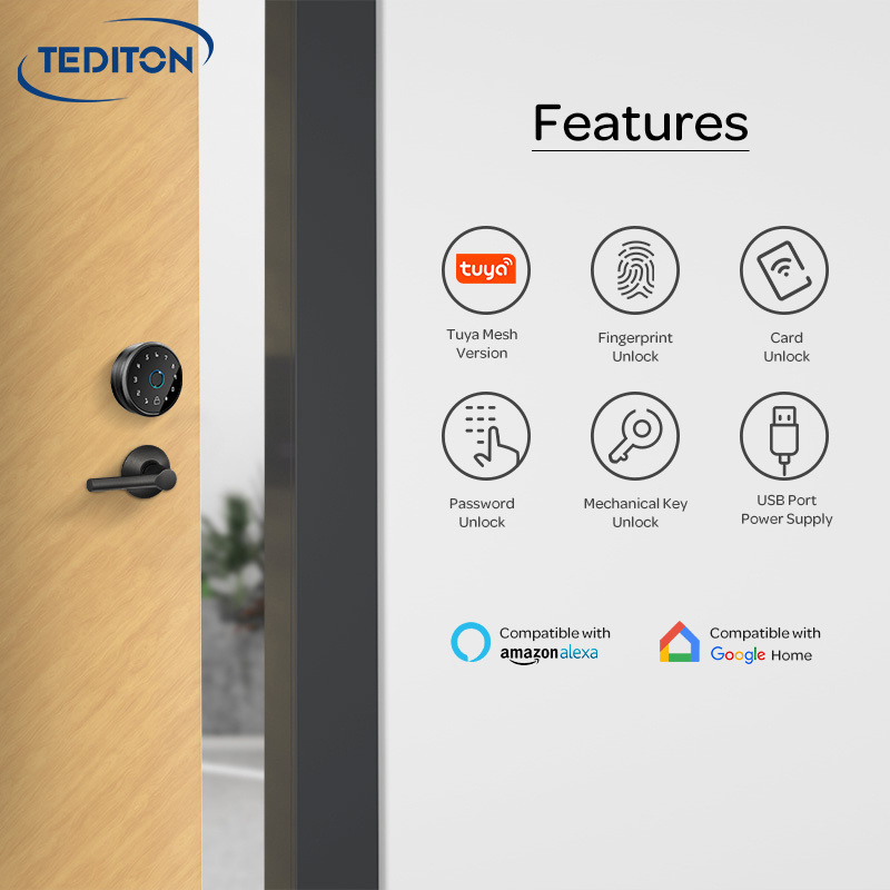 Tediton Tuya Wifi Automatic Electric Digital Self Locking Keyless Smart Lock Deadbolt Easy Onstall