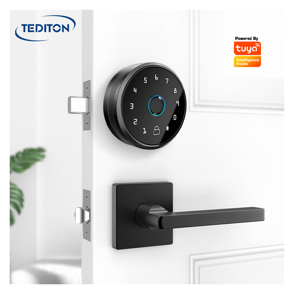 Tediton Tuya Wifi Automatic Electric Digital Self Locking Keyless Smart Lock Deadbolt Easy Onstall