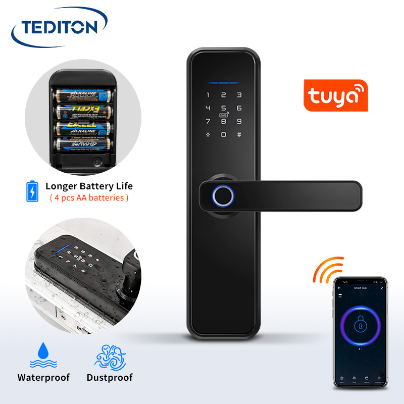 Tediton Waterproof Digital Smart Key Door Wifi Outdoor Door Lock With Tuya APP TTLOCK Wifi Mobile Lock