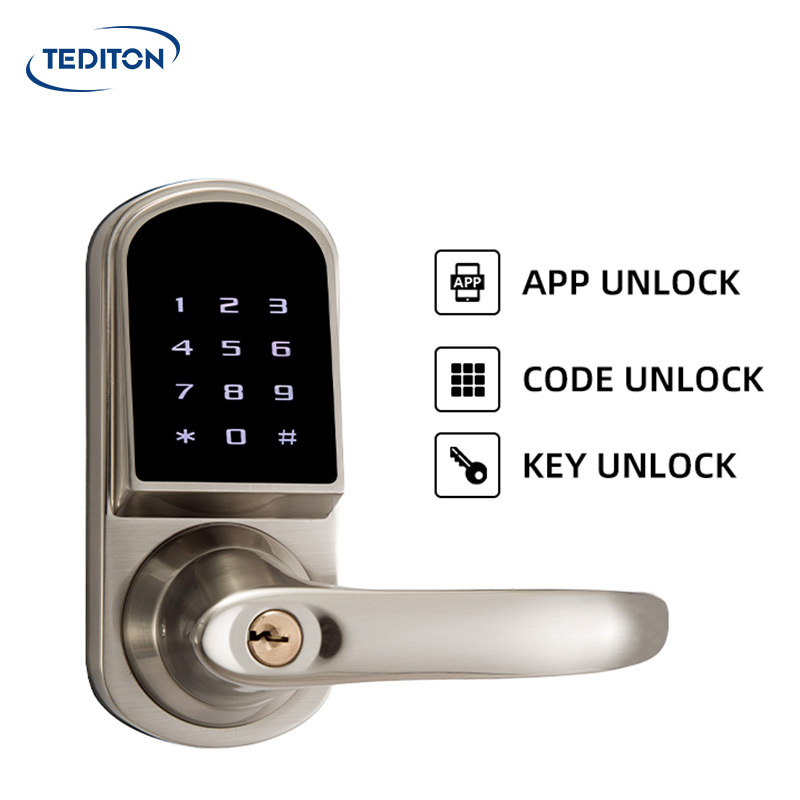 Tediton Waterproof Wifi Keypad App Smart Door Lock  APP Lock for Home Airbnb Apartment Project